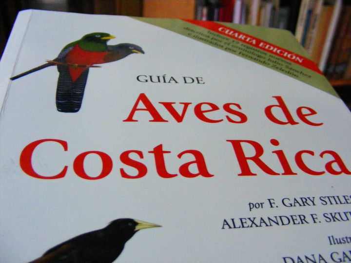 biblioteca 046 copy.jpg